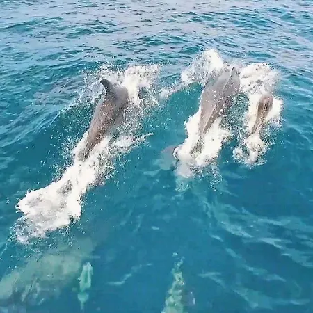 Canguu By Algarve Vacation * البوفيرا