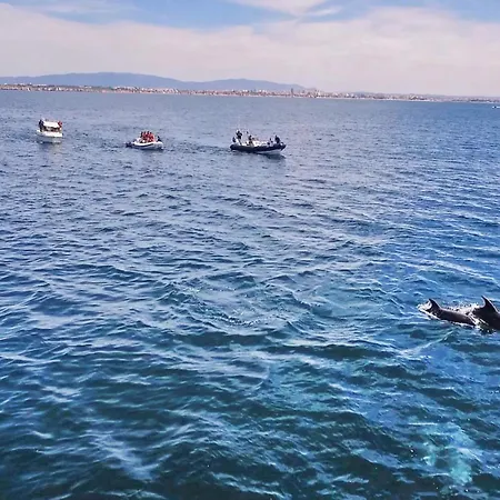 فيلة Canguu By Algarve Vacation